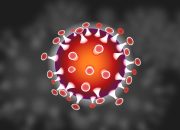 Kabar Duka, Dua Pasien Positif Covid-19 Asal Palmatak Meninggal Dunia