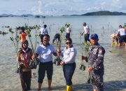 Danlanal Tarempa : Lestarikan Mangrove Sebagai Upaya Pertahankan Wilayah Maritim