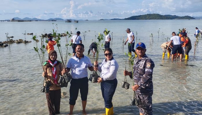 Danlanal Tarempa : Lestarikan Mangrove Sebagai Upaya Pertahankan Wilayah Maritim