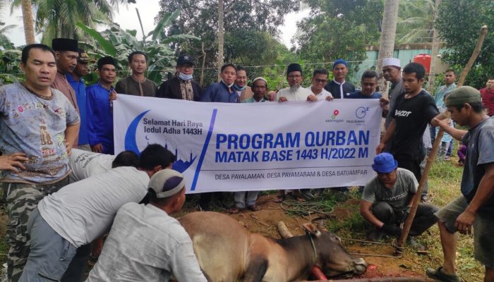 Idul Adha 1443 H, Medco E&P Natuna Ltd Salurkan 5 Ekor Sapi Kurban Bagi Masyarakat
