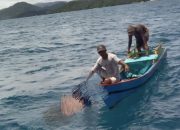 Seorang Mayat Ditemukan Mengapung di Perairan Pulau Mapet