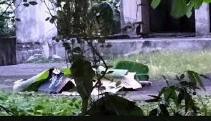 WNA di Bintan Tewas Akibat Jatuh dari Ketinggian 24 Meter