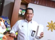 Stok Cadangan Beras Menipis, Sisa 651 Ribu Ton