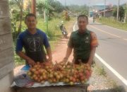 Serda Ganda Fitrianto Lakukan Komsos Dengan Pedagang Buah