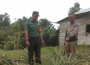 Serda Alex Komsos Pendampingan Ketahanan Pangan Bersama Warga Air Bini