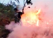 BPBD Natuna Bersama TNI-Porli Padamkan Kebakaran Lahan di Desa Batu Gajah