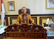 Harga Tiket Pesawat ke Natuna Mahal, Rodhial: Turis Jadi Kurang Belanja