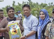 Kebakaran di Jalan Karya Kelurahan Bagan Barat, Bupati Sintong Berikan Bantuan dan Pesan Keselamatan