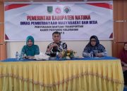 Tahun Depan, Pemda Natuna Usahakan Tambah Dana untuk Kader Posyandu