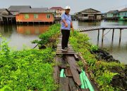 Memprihatinkan Kondisi Plantar Kampung Bugis, Komisi III DPRD Dorong Peran Pemkab Natuna