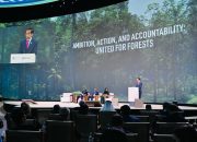 Presiden Jokowi Sampaikan Langkah Indonesia Capai Net Carbon Sink Sektor Hutan dan Lahan