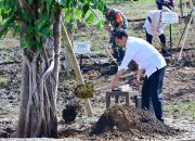 Tanam Pohon Bersama Masyarakat, Presiden: Ini Tindakan Nyata Hadapi Perubahan Iklim