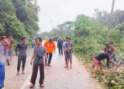 Tim Gabungan Evakuasi Pohon Tumbang di Desa Air Bini