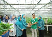 Pj Ketua TP-PKK Provinsi Sumut Bersama Ketua TP PKK Asahan Kunjungi PT. Hijau Surya Biotechindo