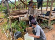 Jaga Keamanan Lingkungan, Bhabinkamtibmas Polsek Palmatak Ajak Warga untuk Siskamling