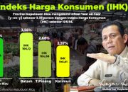 Inflasi Kepri Capai 3,37 Persen, Gubernur Ansar: Ekonomi Tetap Terkendali