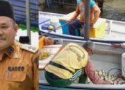 Menjelang Imlek, Nelayan Pulau Duyung Panen Ikan Dingkis yang Dijual Hingga Rp150 Ribu per Kg