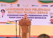 Pemkab Bengkalis Luncurkan Beras SPHP untuk Stabilkan Harga Pangan