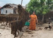 Desa Buyu Sulap Rengkam Jadi Komoditas Unggulan, Ekonomi Warga Meningkat