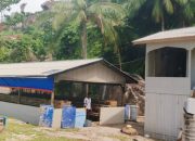 Kolaborasi Pemdes dan BUMDes Lingai Pacu Produktivitas Ayam Petelur untuk Kesejahteraan Warga
