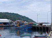 DP3 Anambas Ingatkan Kapal Pengangkut Ikan untuk Tidak Kelebihan Muatan
