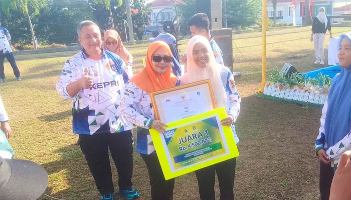Bunda Literasi Kota Tanjungpinang Apresiasi Prestasi Perpustakaan Cermin Pintar