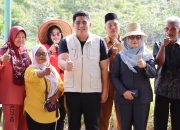 Bupati Bintan Panen Perdana Padi Gogo, Dorong Ketahanan Pangan Lokal