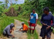 Kompak, Warga Desa Telaga Perbaiki Jalan Gunung Kahwe–Pasir Panjang Secara Sukarela