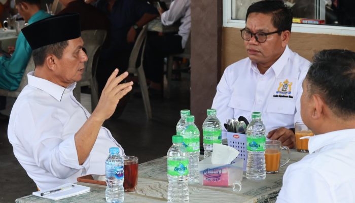Kadin Kepri Perkuat Sinergi Ekonomi, Bertemu Ansar Ahmad di Penyengat