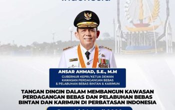 Ansar Ahmad Bahas FTZ Bintan-Karimun di Metro TV