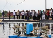 Komisi IX DPR RI Tinjau Budidaya Udang Vaname, Dorong Ekonomi & Perlindungan Tenaga Kerja