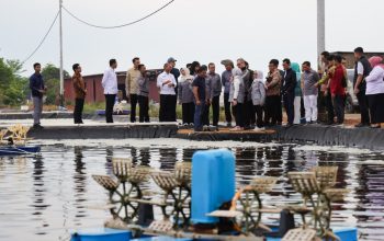 Komisi IX DPR RI Tinjau Budidaya Udang Vaname, Dorong Ekonomi & Perlindungan Tenaga Kerja