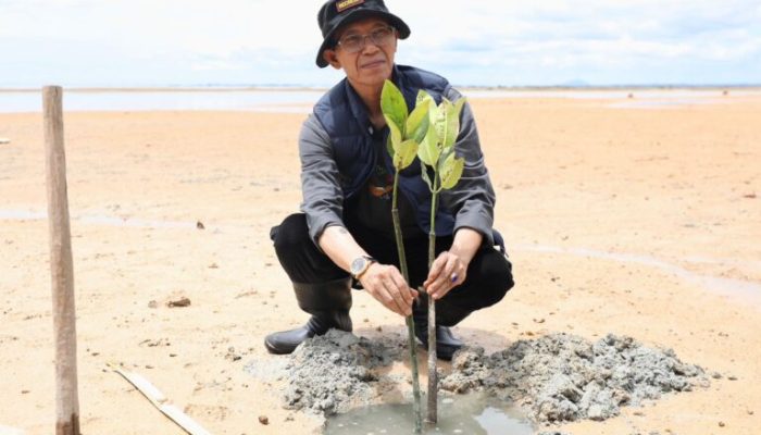 Wali Kota Batam Tanam Mangrove Bersama UNRIKA: Pembangunan Harus Seimbang dengan Kelestarian Lingkungan