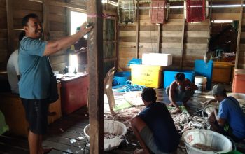 Nasib Nelayan Tanjung Ambat di Tengah Harga Ikan Murah