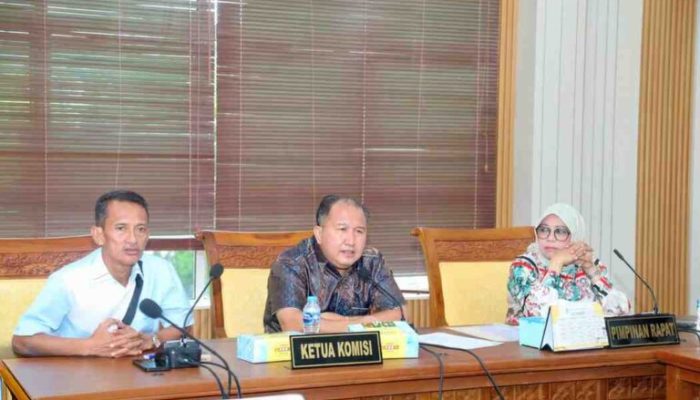 Komisi IV DPRD Dorong Pariwisata Jadi Sumber Ekonomi dan PAD Batam