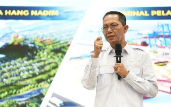 614 Hektare Lahan Tidur, BP Batam Siap Tarik Kembali Alokasi yang Tidak Dimanfaatkan
