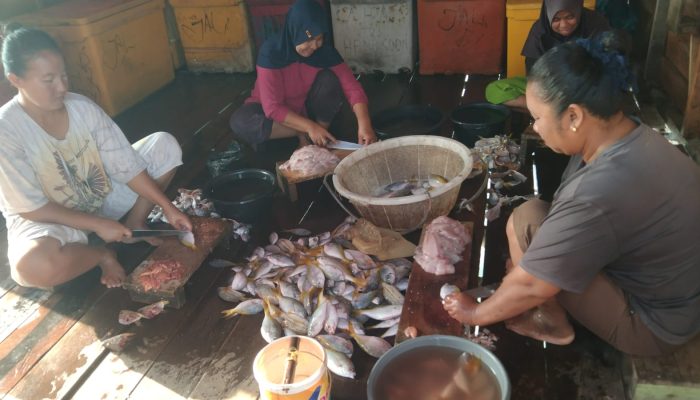 Pulau Buyu Penghasil Ikan Ekor Kuning Berkualitas, Jadi Sumber Penghidupan Utama Nelayan