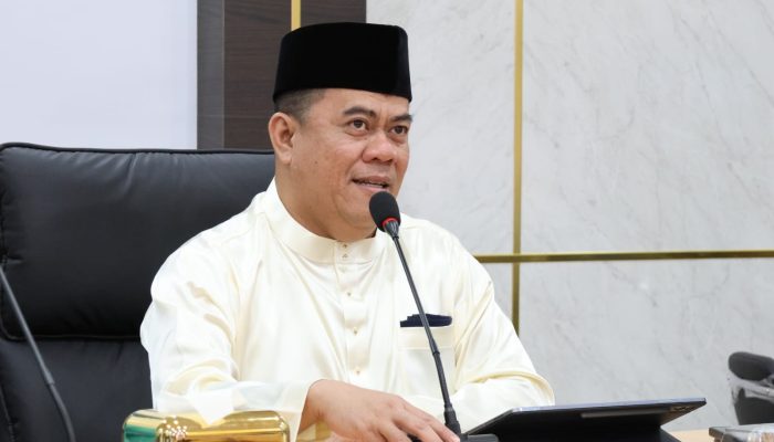 Sekda Ronny Kartika Paparkan Potensi Strategis Bintan di Rakor Bersama Irjen Kemendagri